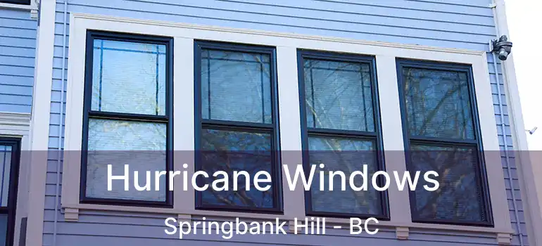  Hurricane Windows Springbank Hill - BC