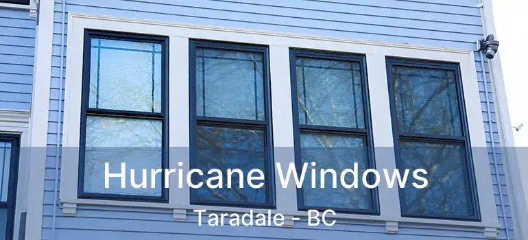  Hurricane Windows Taradale - BC