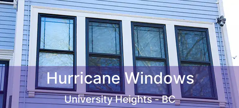  Hurricane Windows University Heights - BC