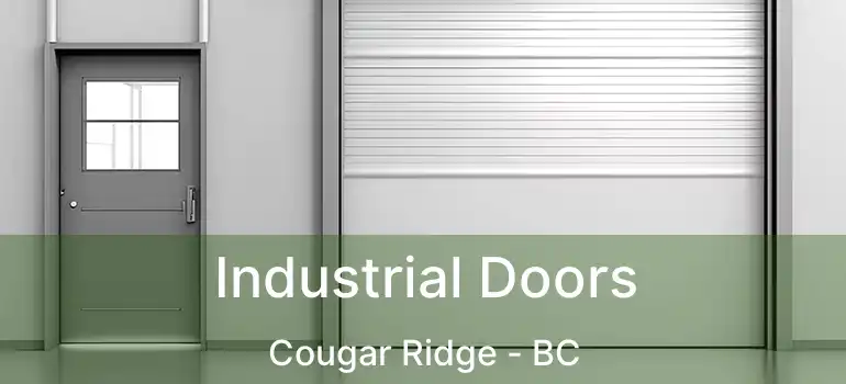  Industrial Doors Cougar Ridge - BC