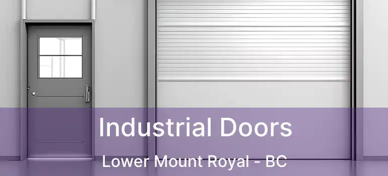  Industrial Doors Lower Mount Royal - BC