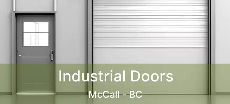  Industrial Doors McCall - BC