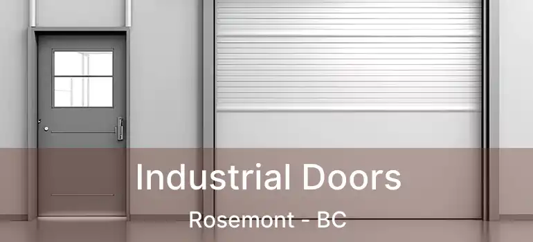  Industrial Doors Rosemont - BC