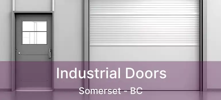  Industrial Doors Somerset - BC