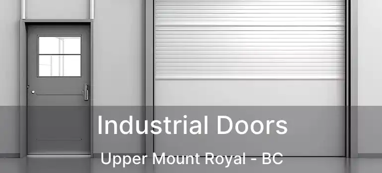  Industrial Doors Upper Mount Royal - BC