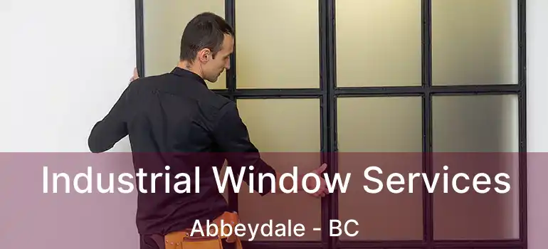  Industrial Window Services Abbeydale - BC