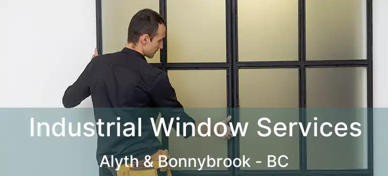  Industrial Window Services Alyth & Bonnybrook - BC