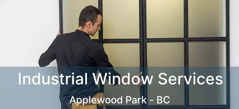  Industrial Window Services Applewood Park - BC