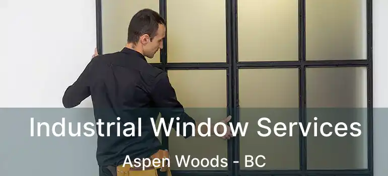  Industrial Window Services Aspen Woods - BC