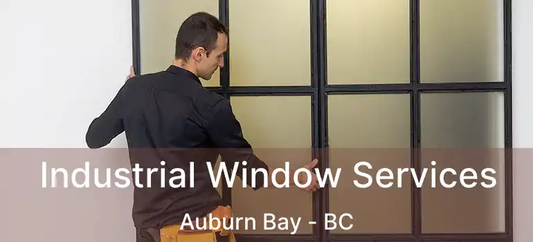  Industrial Window Services Auburn Bay - BC