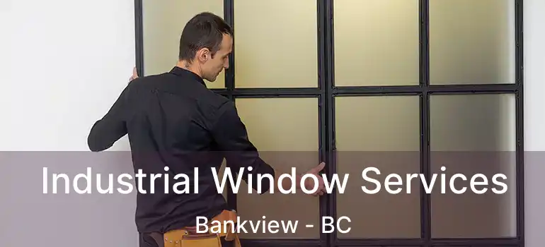  Industrial Window Services Bankview - BC