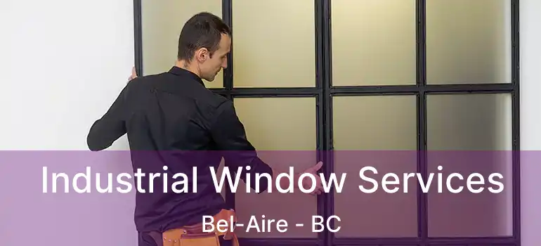  Industrial Window Services Bel-Aire - BC