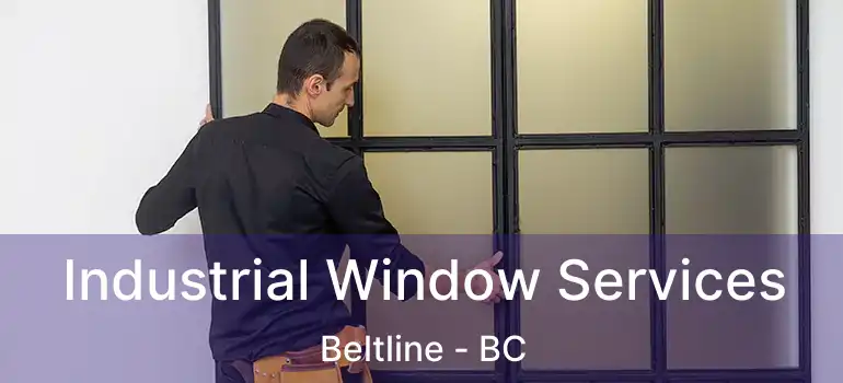  Industrial Window Services Beltline - BC