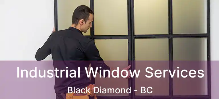  Industrial Window Services Black Diamond - BC