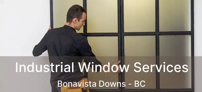  Industrial Window Services Bonavista Downs - BC
