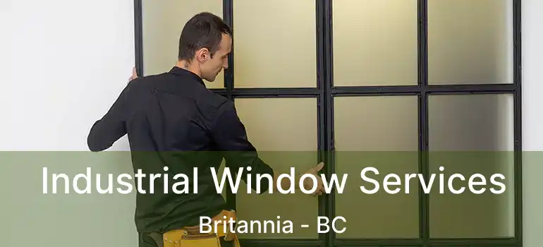  Industrial Window Services Britannia - BC