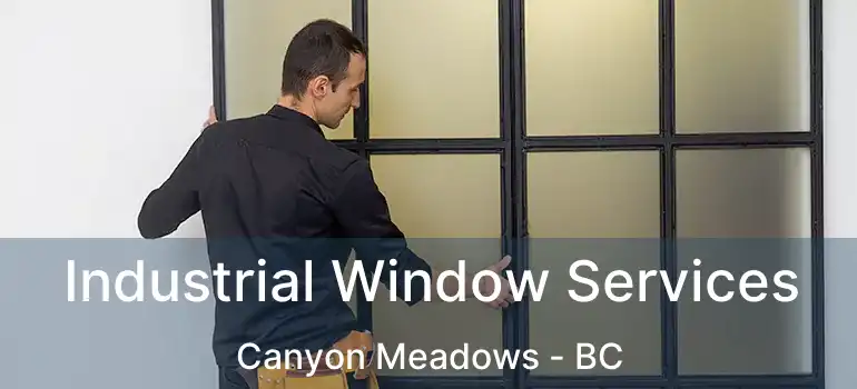  Industrial Window Services Canyon Meadows - BC