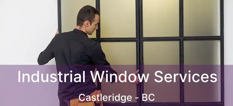  Industrial Window Services Castleridge - BC