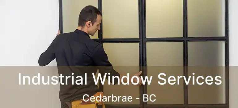  Industrial Window Services Cedarbrae - BC