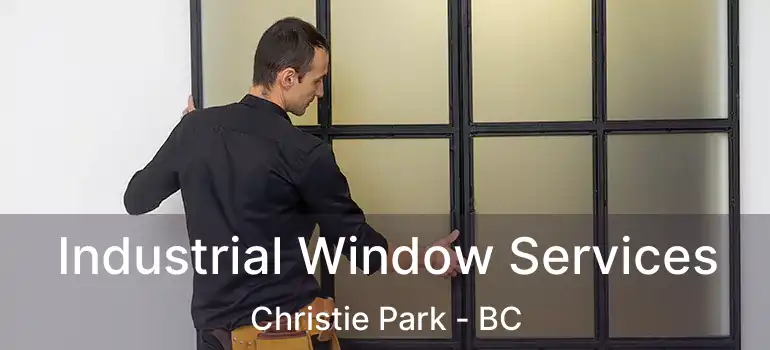  Industrial Window Services Christie Park - BC
