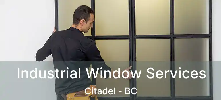  Industrial Window Services Citadel - BC