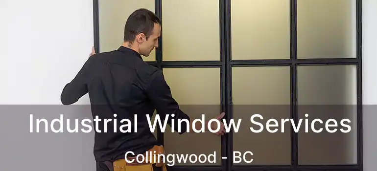  Industrial Window Services Collingwood - BC