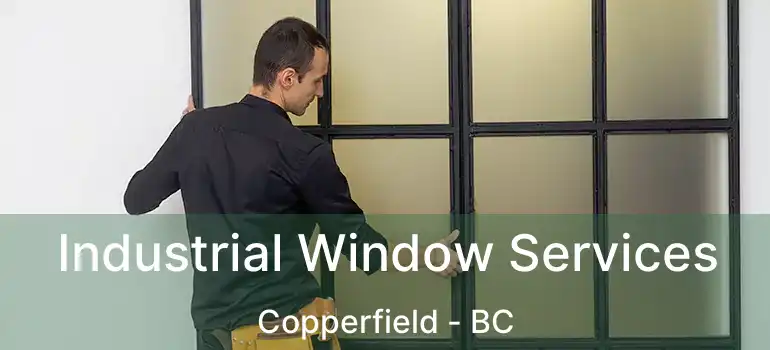  Industrial Window Services Copperfield - BC