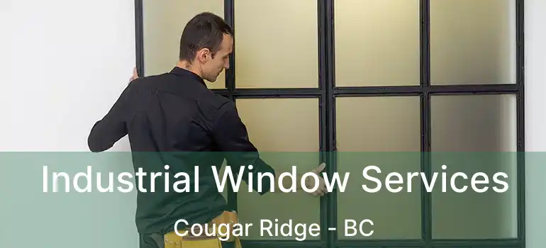  Industrial Window Services Cougar Ridge - BC