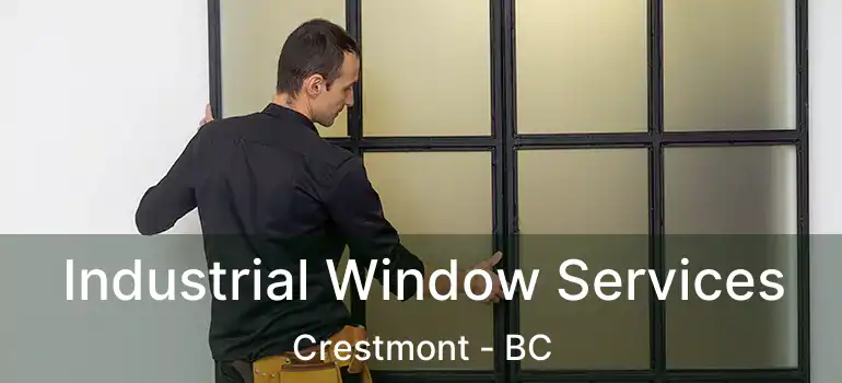  Industrial Window Services Crestmont - BC