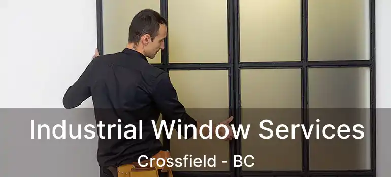  Industrial Window Services Crossfield - BC