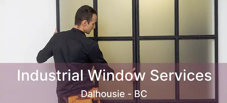  Industrial Window Services Dalhousie - BC