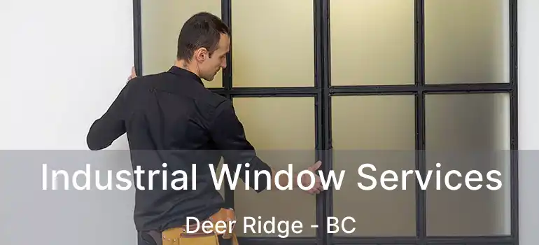  Industrial Window Services Deer Ridge - BC