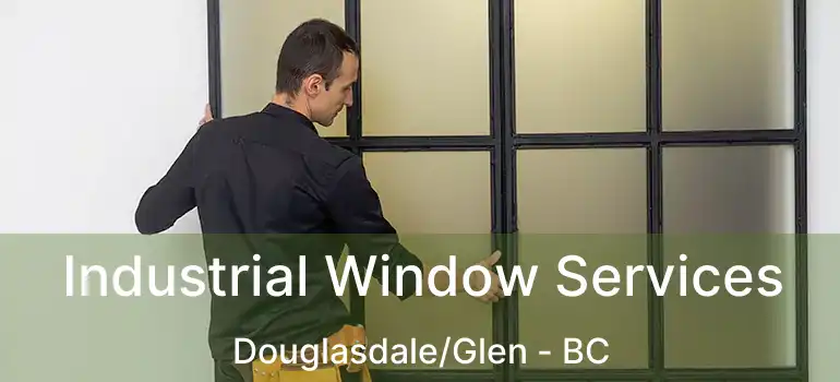  Industrial Window Services Douglasdale/Glen - BC