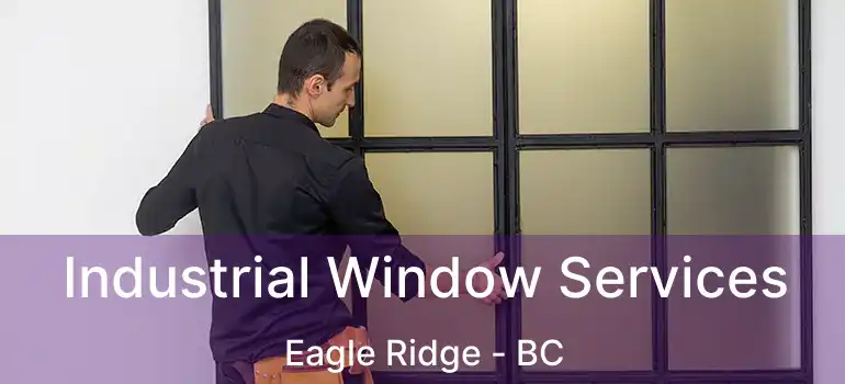  Industrial Window Services Eagle Ridge - BC