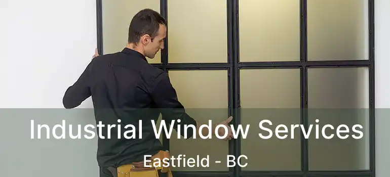  Industrial Window Services Eastfield - BC