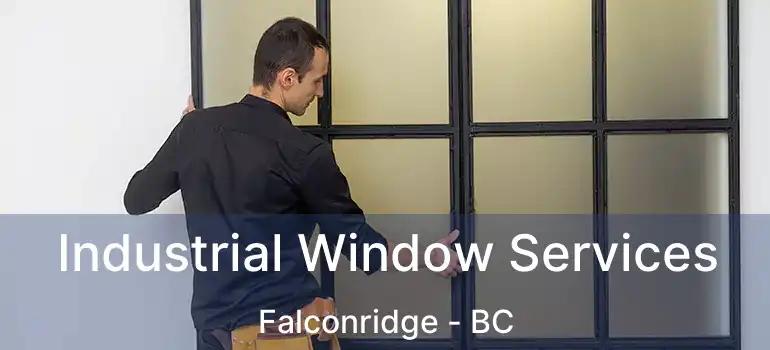  Industrial Window Services Falconridge - BC