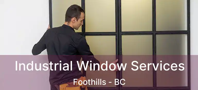  Industrial Window Services Foothills - BC