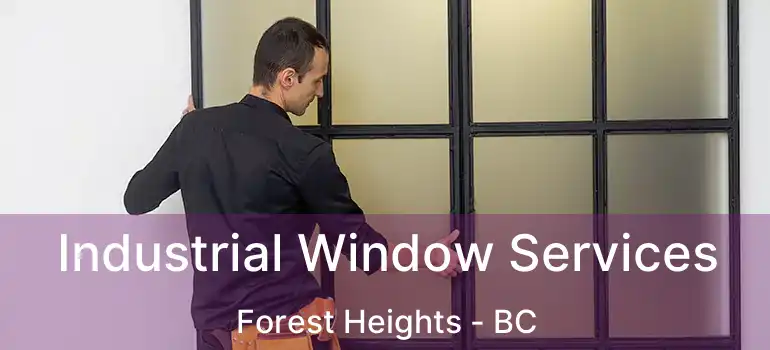  Industrial Window Services Forest Heights - BC