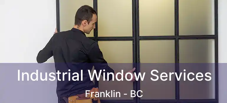  Industrial Window Services Franklin - BC