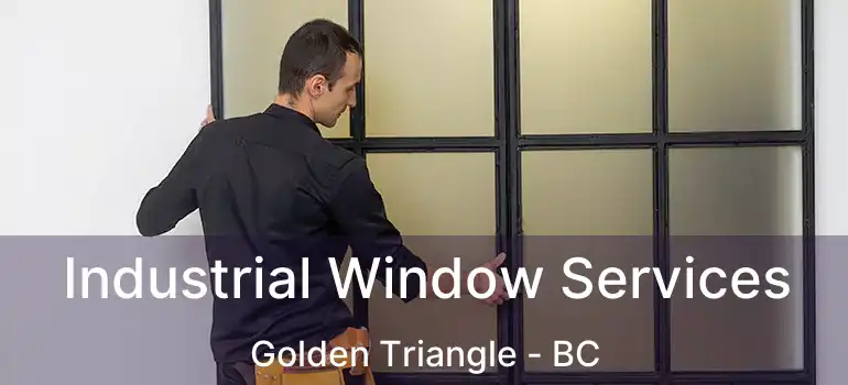  Industrial Window Services Golden Triangle - BC