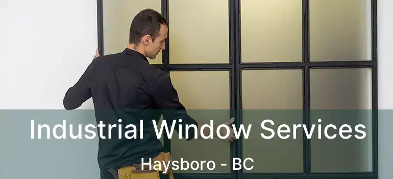  Industrial Window Services Haysboro - BC