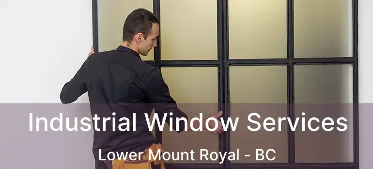  Industrial Window Services Lower Mount Royal - BC