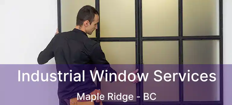  Industrial Window Services Maple Ridge - BC