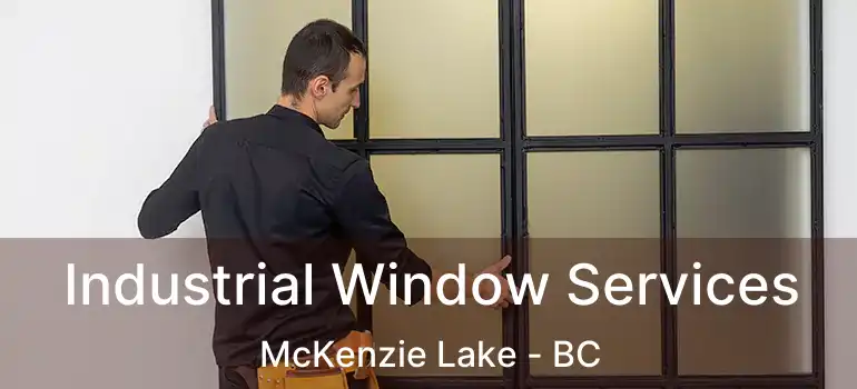  Industrial Window Services McKenzie Lake - BC