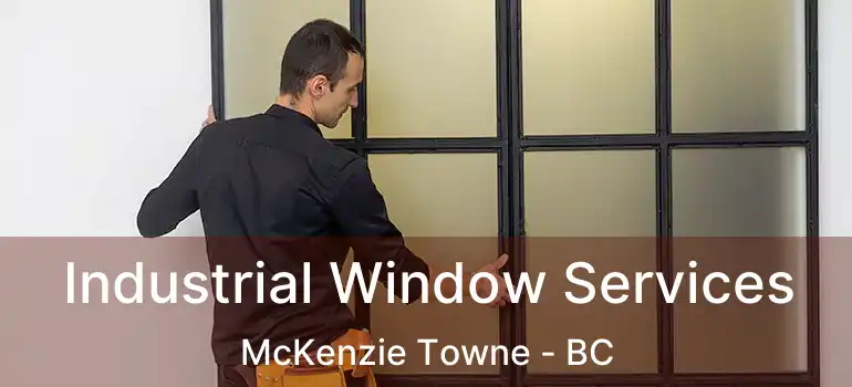  Industrial Window Services McKenzie Towne - BC