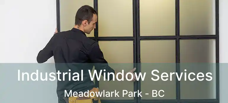  Industrial Window Services Meadowlark Park - BC