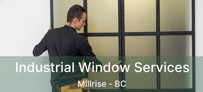  Industrial Window Services Millrise - BC