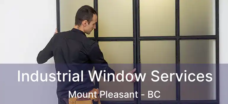  Industrial Window Services Mount Pleasant - BC
