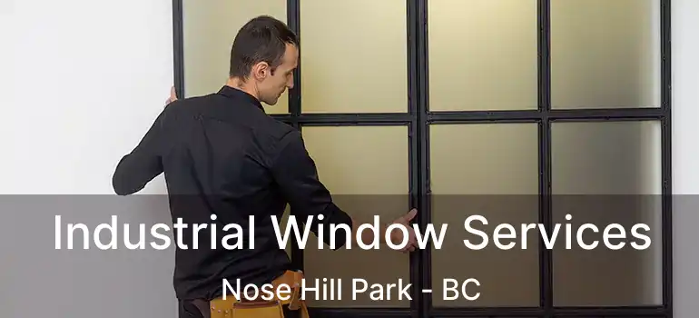  Industrial Window Services Nose Hill Park - BC