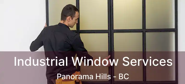  Industrial Window Services Panorama Hills - BC